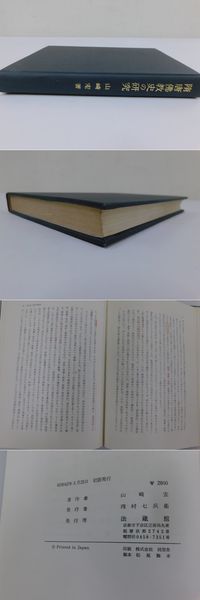 隋唐仏教史の研究 山崎宏著