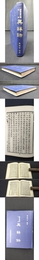 異辞録 精装