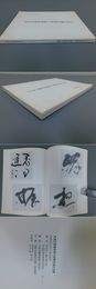 手島右卿書碑建立協賛収納作品集