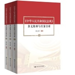 《中華人民共和国法典》条文精釈與実案全析（上中下）