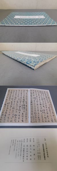 完売 行草七律自詩書巻(王鐸) / 古本、中古本、古書籍の通販は「日本 デザイン