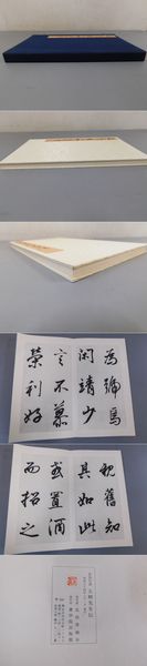 □菘翁草書 浣花帖 菘翁行書 詠柳七律横披など バラ4冊セット 書