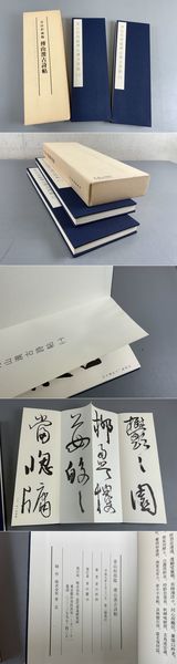 Amazon.co.jp: 愚青: 詩集 : 川口 守: 本