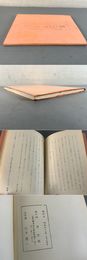 中川一政 書について