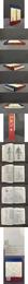 中華針灸図鑑（精装）