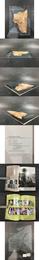 Ancient Chinese Writing:Oracle Bone Inscriptions from the Ruins of Yin