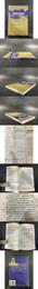 大門口的陌生人：1839-1861年間華南的社会動乱