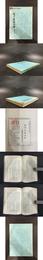 庄子及其文学