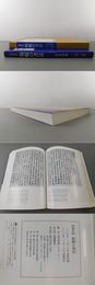 増補新版 楊?の書法