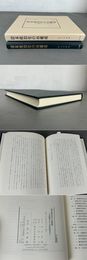 清末政治史の再構成 日清戦争から戊戌政変まで  汲古叢書144
