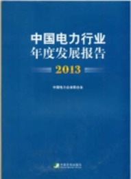 中国電力行業年度発展報告．2013