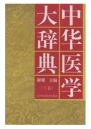 中華医学大辞典（上下）