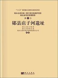 [員β]県店子河遺址（湖北省考古発掘報告）：南水北調中線工程文物保護項目．11