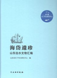 海岱遺珍:山東出水文物彙編