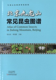 北京九龍山常見昆虫図譜（九龍山生物多様性系列）