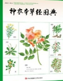 神農本草經圖典（簡體書）