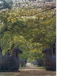 中国建築芸術全集（7）明代陵墓建築（中国美術分類全集）