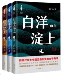 白洋澱上(全3冊)