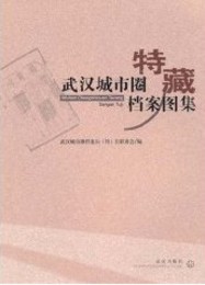 武漢城市圏特蔵档案図集