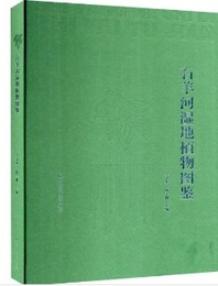 石羊河湿地植物図鑑
