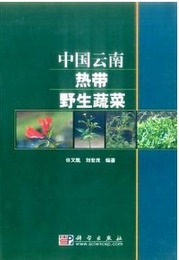 中国雲南熱帯野生蔬菜