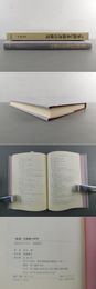 『集韻』系韻書の研究