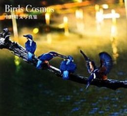 Birds Cosmos 