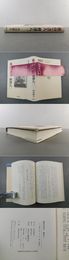 孤高の書人 會津八一