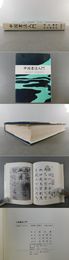 中国書法入門