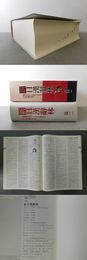 新日漢辞林