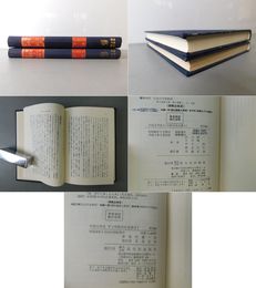中国文学史 上・下 中国文化全書