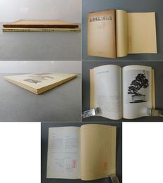 盆栽水石こぼれ話