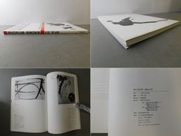 現代の書芸術 墨象の世界