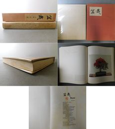 盆栽
