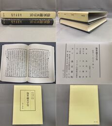傷寒論文字攷