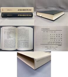 宋代政治構造研究 汲古叢書101