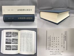 中国地方戯曲研究　元明南戯の東南沿海地区への伝播