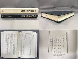 中国現代詩史研究