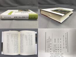 モンゴル時代道教文書の研究