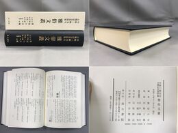 中野三敏先生古稀記念資料集 雅俗文叢