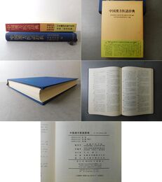 中国漢方医語辞典