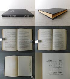 中国の言語 その特質と歴史について