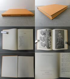 Chinese Sculpture in the Metropolitan Museum of Art