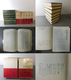 全釈漢文大系　文選　7冊揃