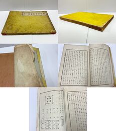 顕本法華宗綱要 全