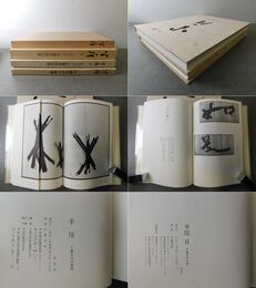 半厓Ⅰ、Ⅱ 千葉半厓の書業