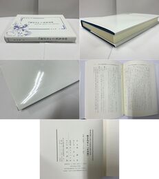 日本近世における白話小説の受容 曲亭馬琴と『水滸傳』