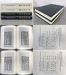 古典研究会叢書漢籍之部 36,37 李太白文集一、二