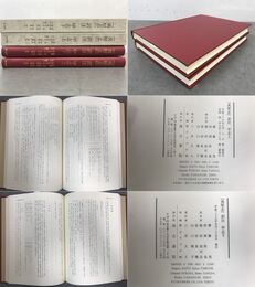 『夷堅志』訳注 甲志 上下揃