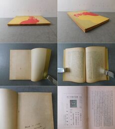 赤い中國の生態